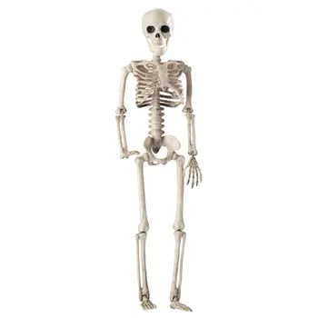 36 cm Tõetruu Inimese Luud Halloween Kolju, Luustik Teenetemärgi Anatoomiline Mudel