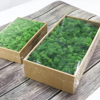 Simulatsioon Taimed Igavene Elu Moss /Garden Home Decor Seina DIY Lill Materjali Mini Aed Micro Maastiku Võltsitud Sambla Kingitus